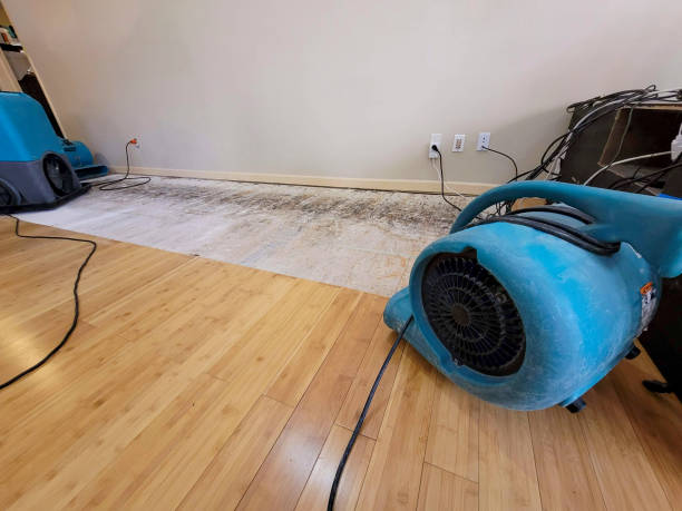 Professional Structural Drying technician working in Watauga, TX